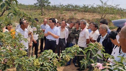 793bd0deb6be4e918c6c32df9bb4e86e.jpg 刘永红教授田间指导.jpg