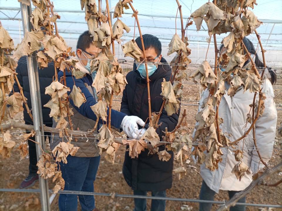 14ba28f283dc42c0af8a68d936fef1ab.jpg 14ba28f283dc42c0af8a68d936fef1ab.jpg