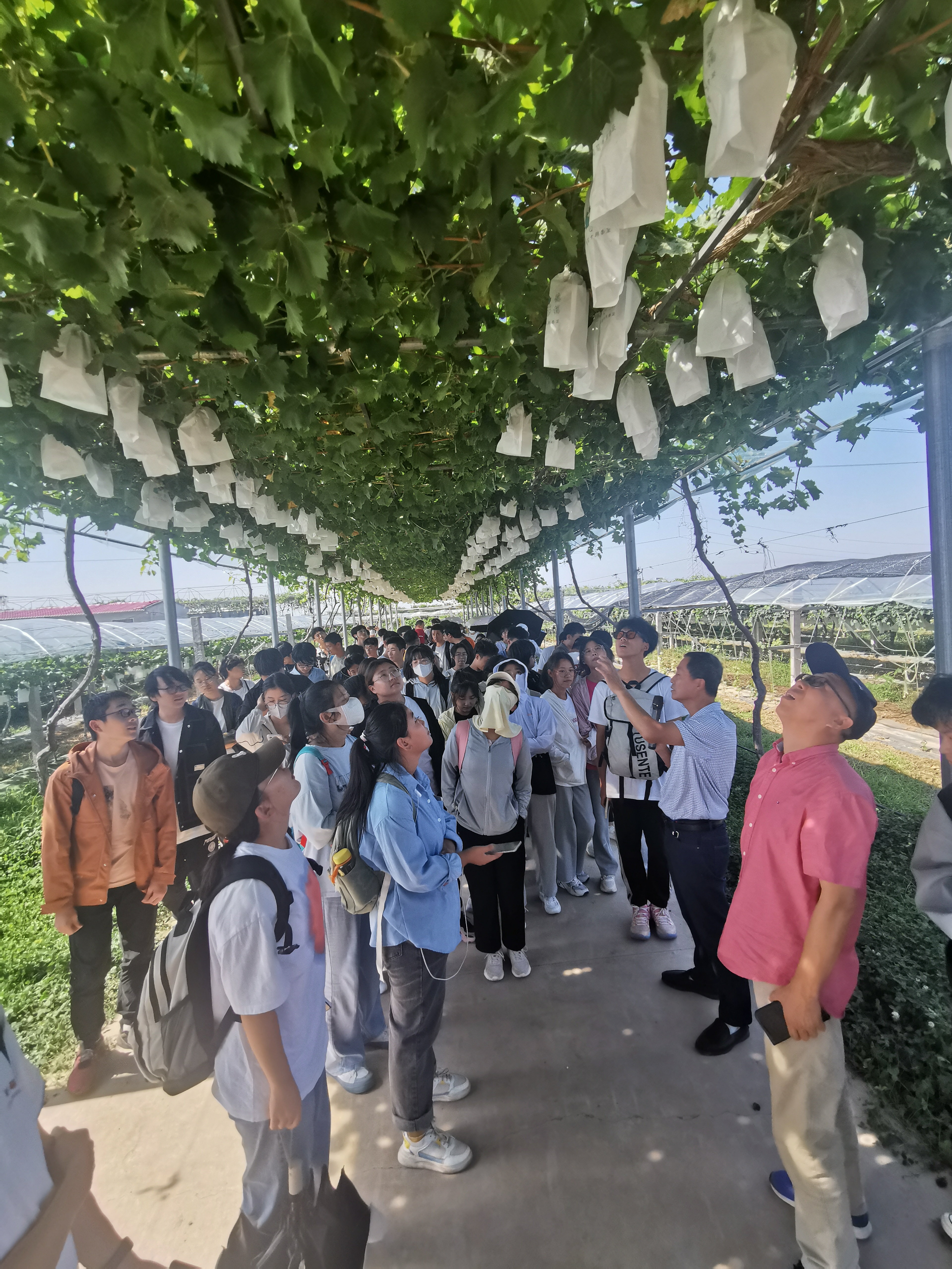 c657f530b3a945498fce9a3e8b11cae5.jpg c657f530b3a945498fce9a3e8b11cae5.jpg